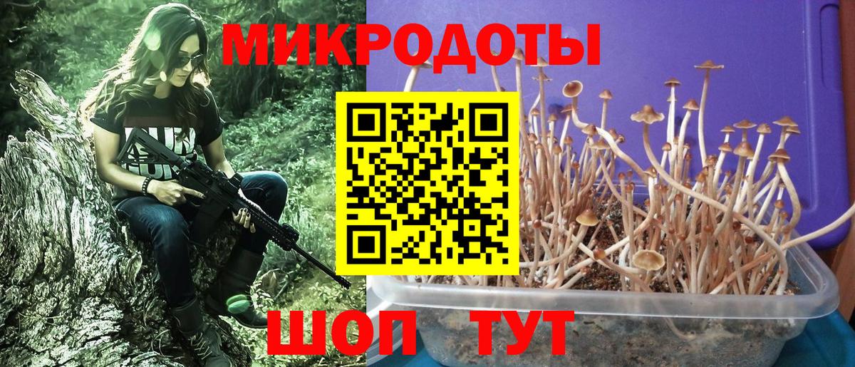 Нефтеюганск  Псилоцибиновые грибы ЛСД  Вход с VPN  Галлюциногенные грибы ЛСД 